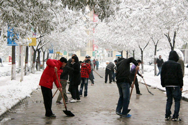 外围买球app十大平台学生积极开展义务劳动清扫积雪